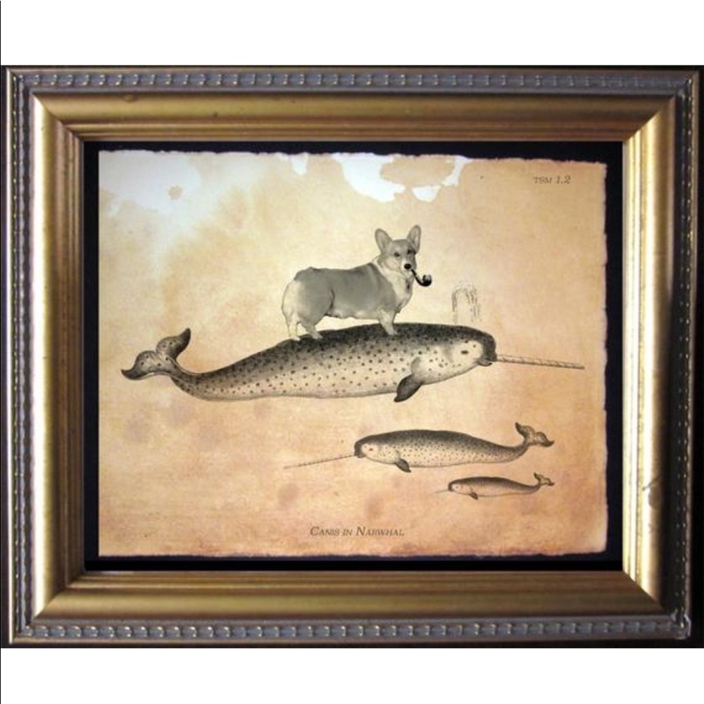 Corgi Dog on Narwhal Wall Art Print Tea Stained